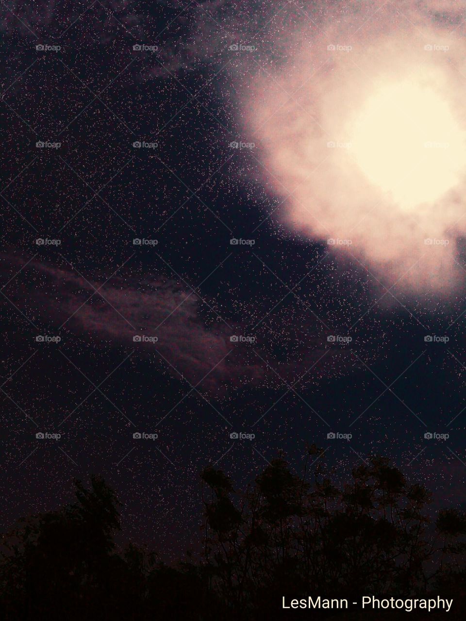 Sunset With Mist In The Air