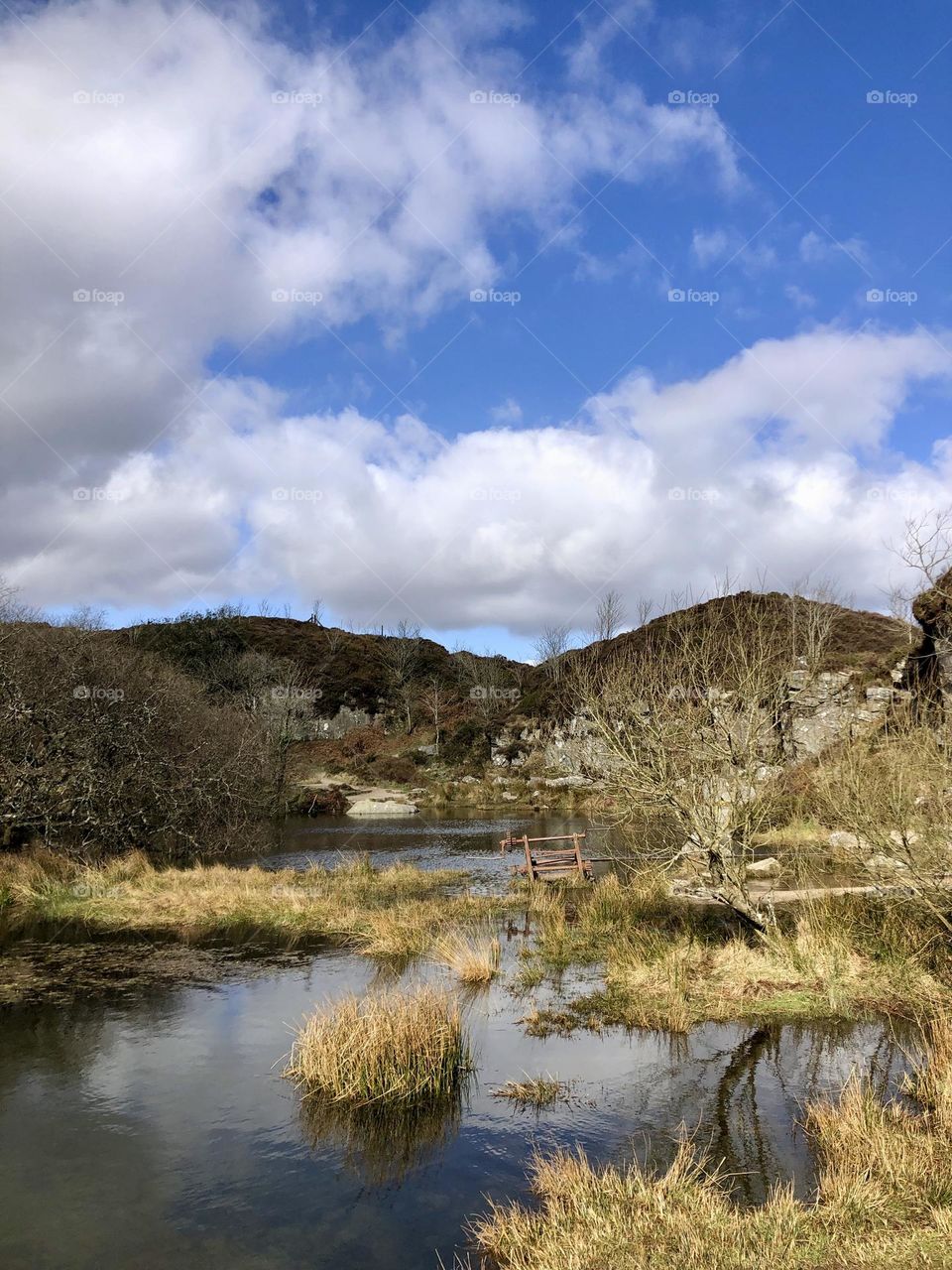 Lake and abandoned machinery 