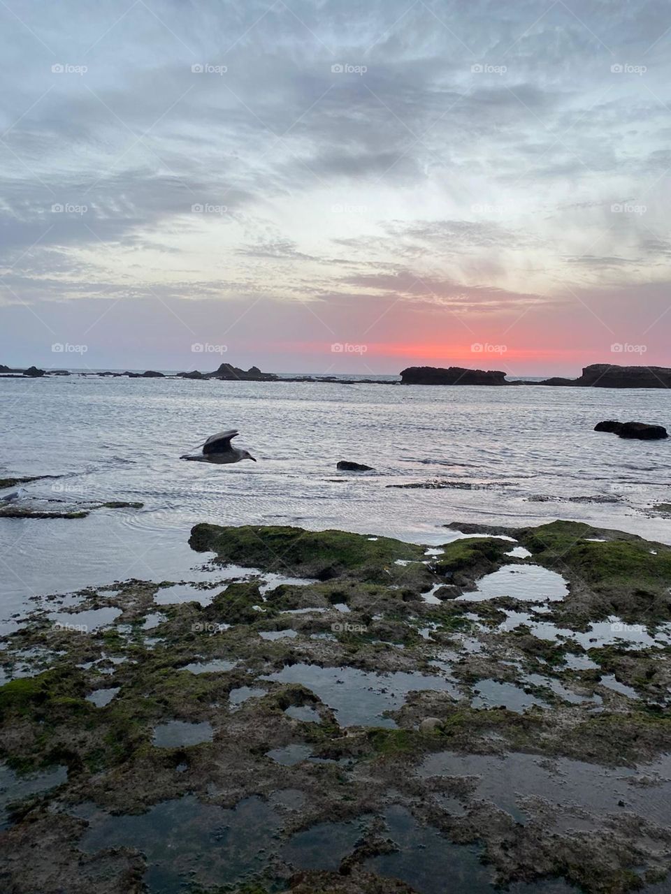 Beautiful and magic sunset at essaouira city in Morocco.