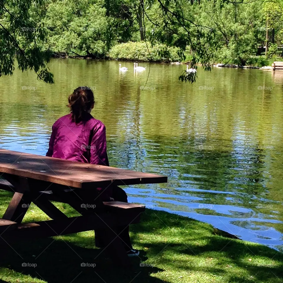 Peaceful afternoon watching the birds in Stratford Ontario Canada!