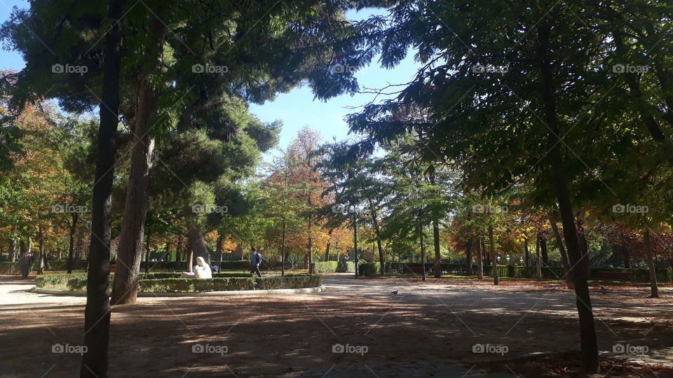 PARQUE  MADRID 