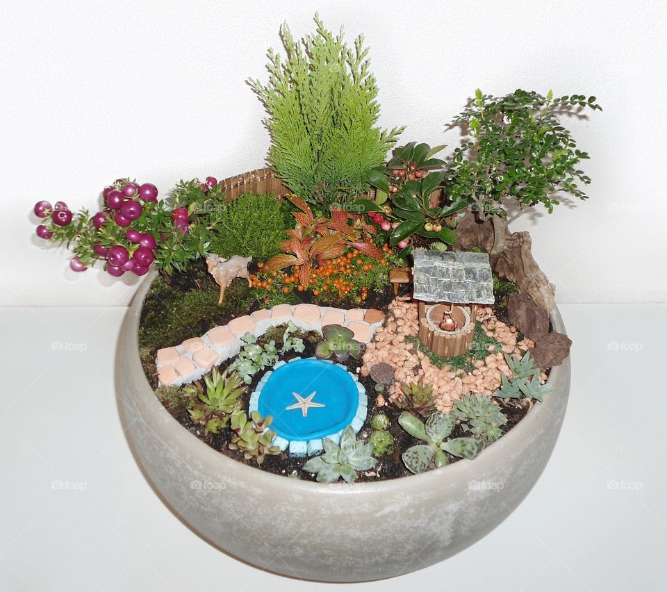 Miniature garden