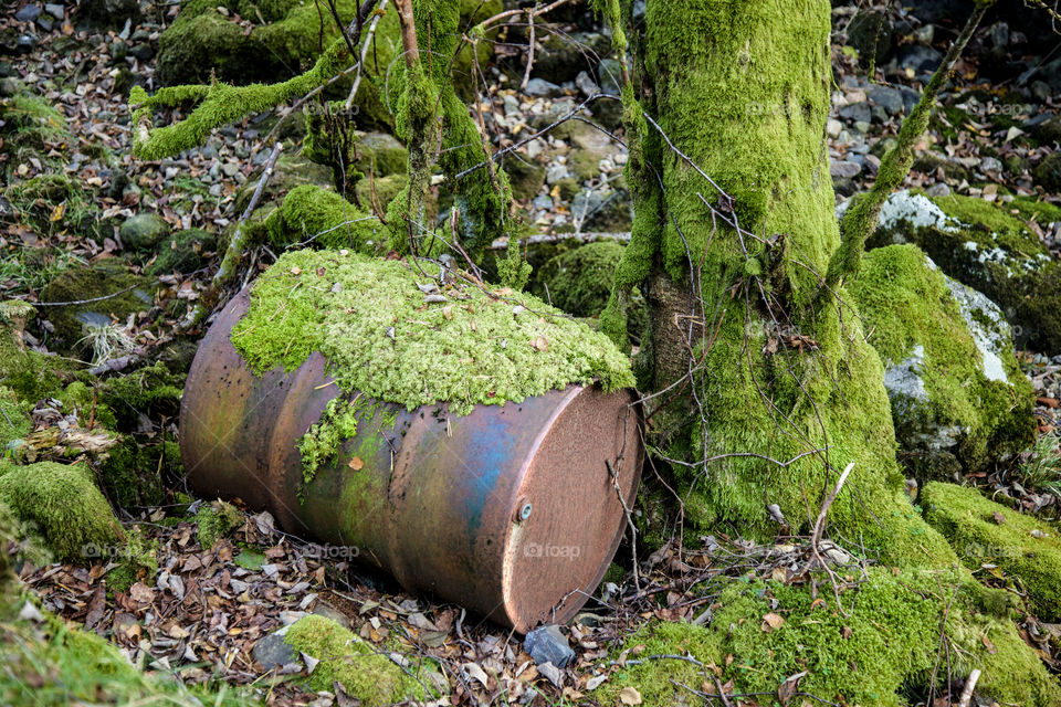 Old and forgotten barrel. 