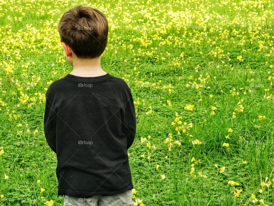 Boy Standing In A Field Of Yellow Flowers
