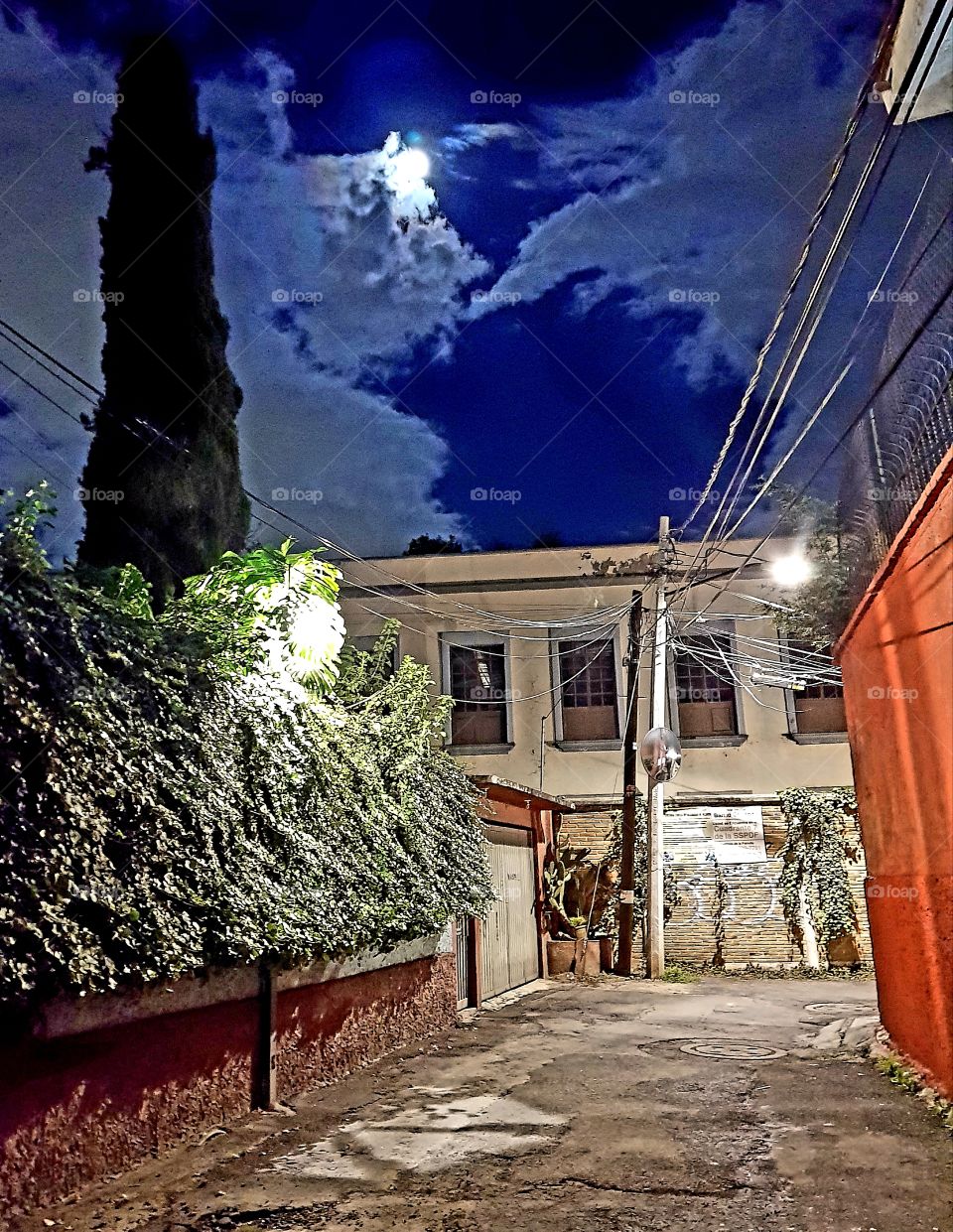 night full moon street