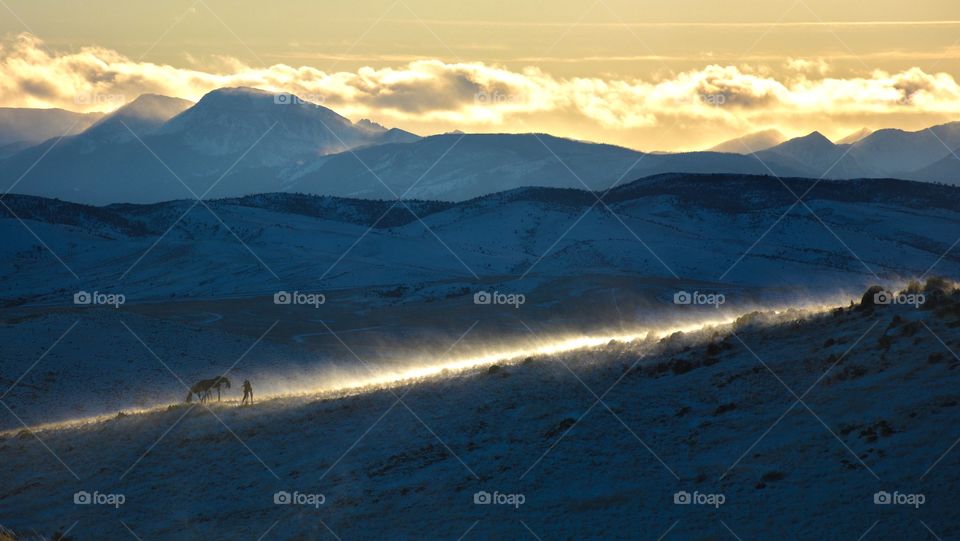 Montana winter