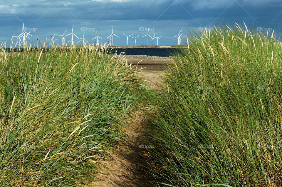 Offshore wind farm framed by grass covered sand dunes
