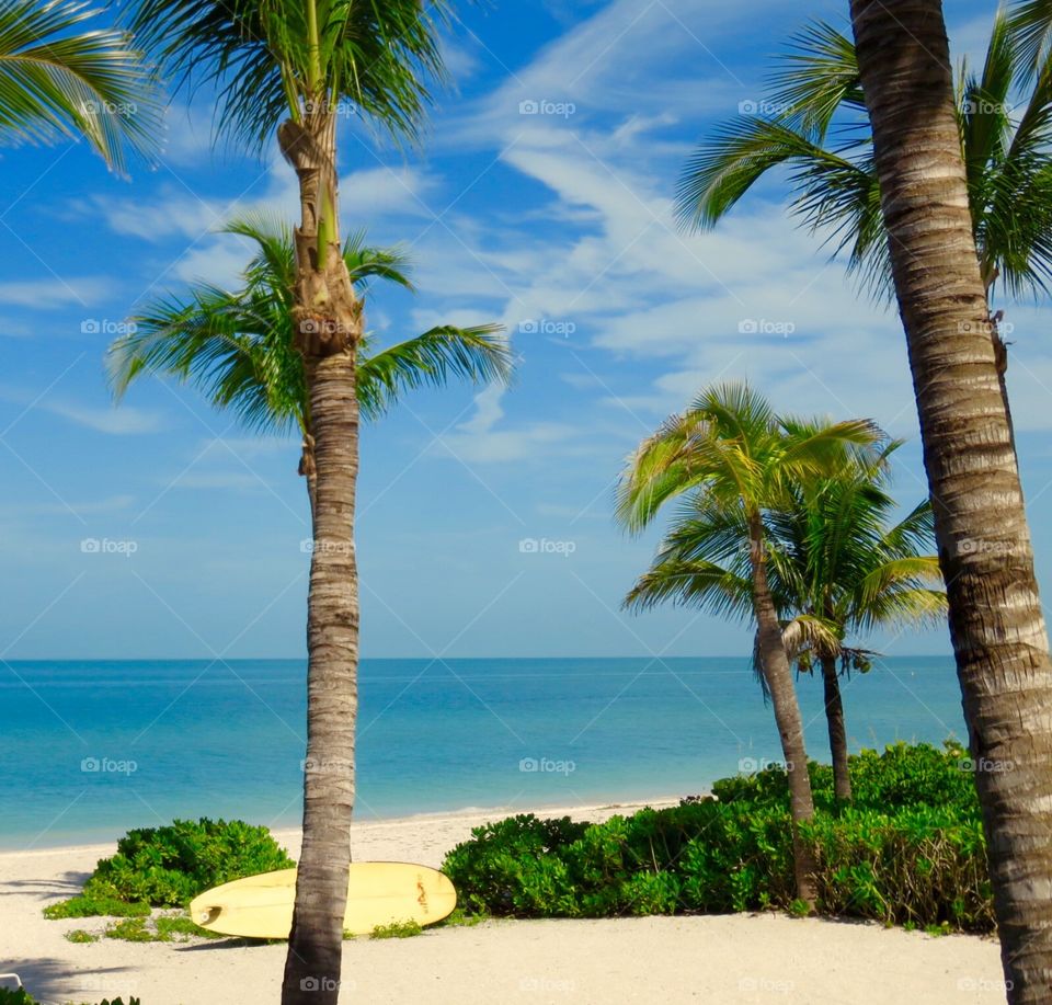 A day at the Beach. Beach