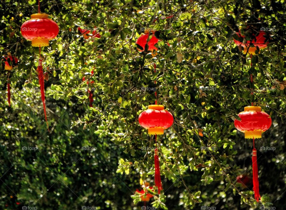 Red Hanging Lanterns