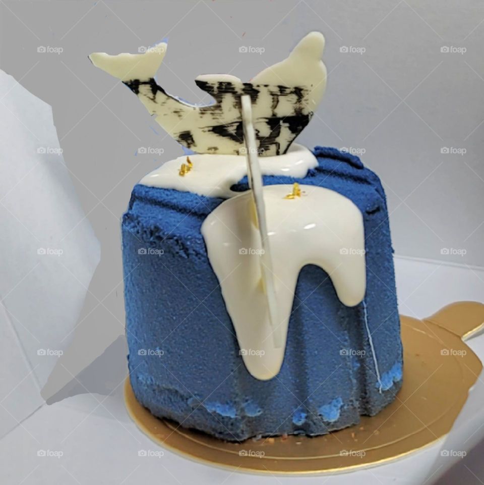 Chocolate ＆ Peach Cake.Small blue cake with white sauce and dolphin-shaped white chocolate on top