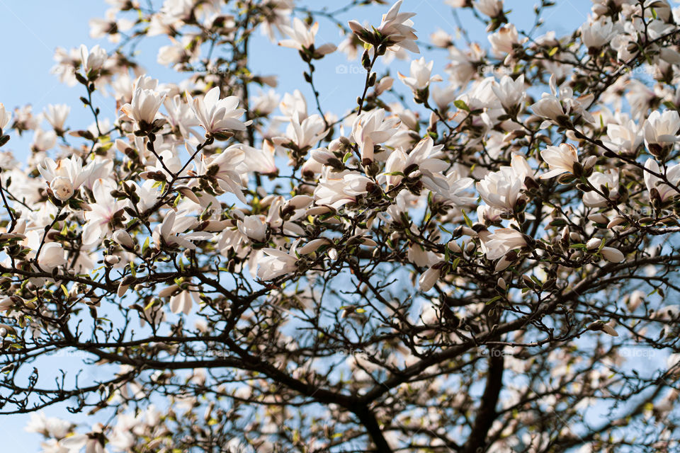 Still the same white color after the winter, but the view and feel are different.