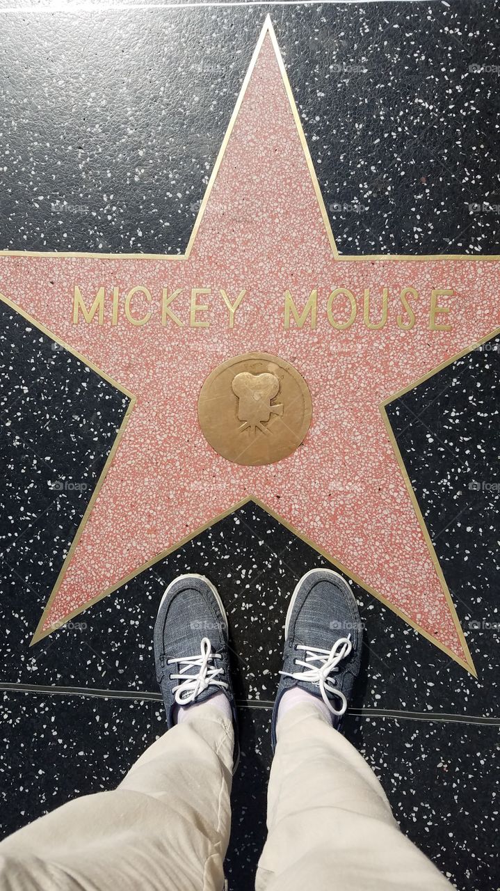 Mickey Mouse star on walk of fame alley