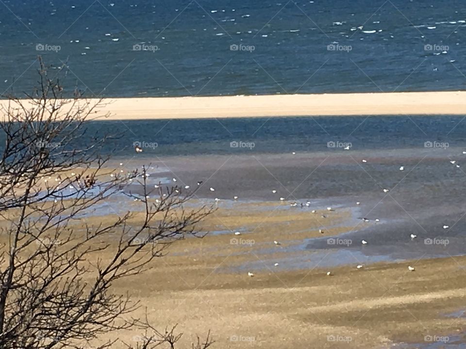 Beautiful contrast of colors on beach.