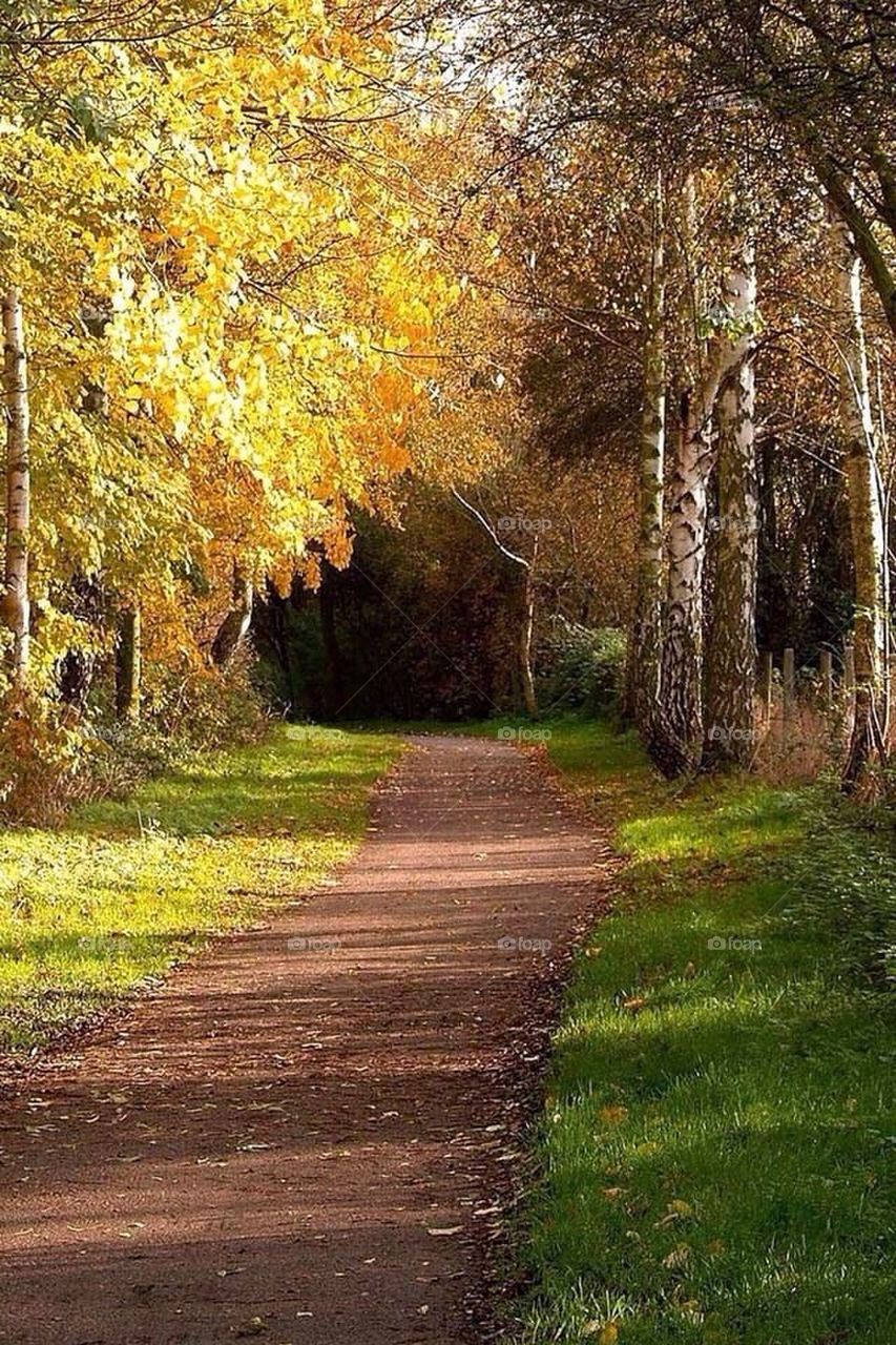 Humam.alhealy@yahoo.com