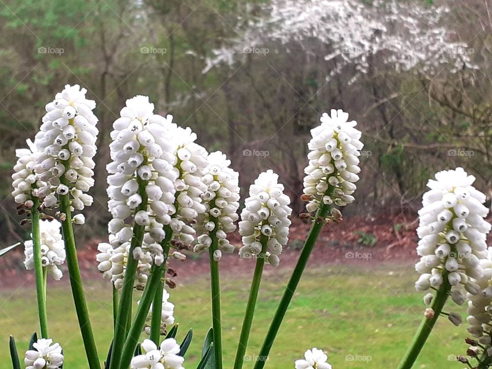 working with plants on the balcony - Earth Day
