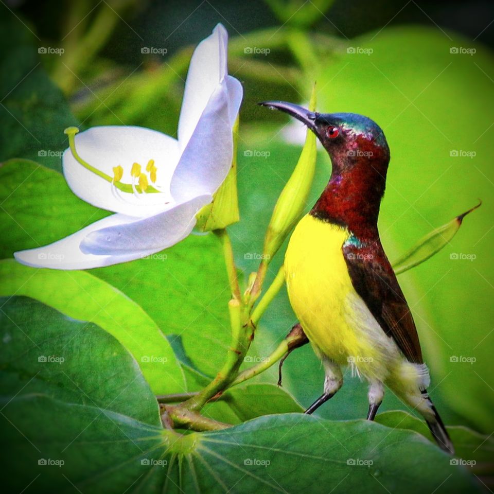 Plants and thier Friends.