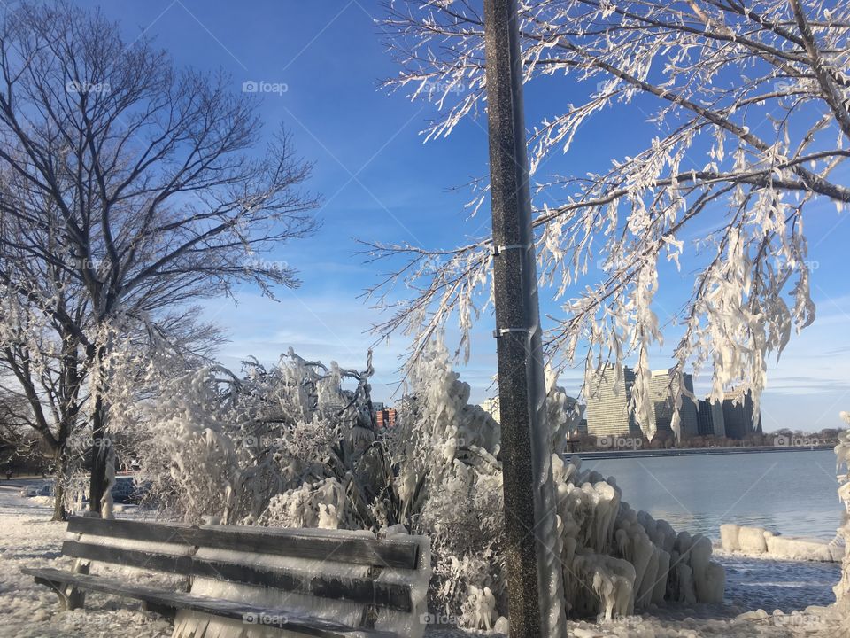 Ice on trees and bench