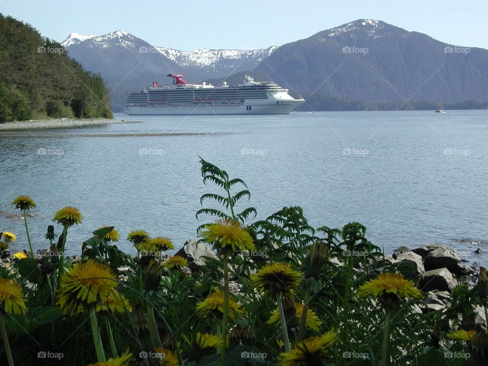 Alaskan Cruiseship