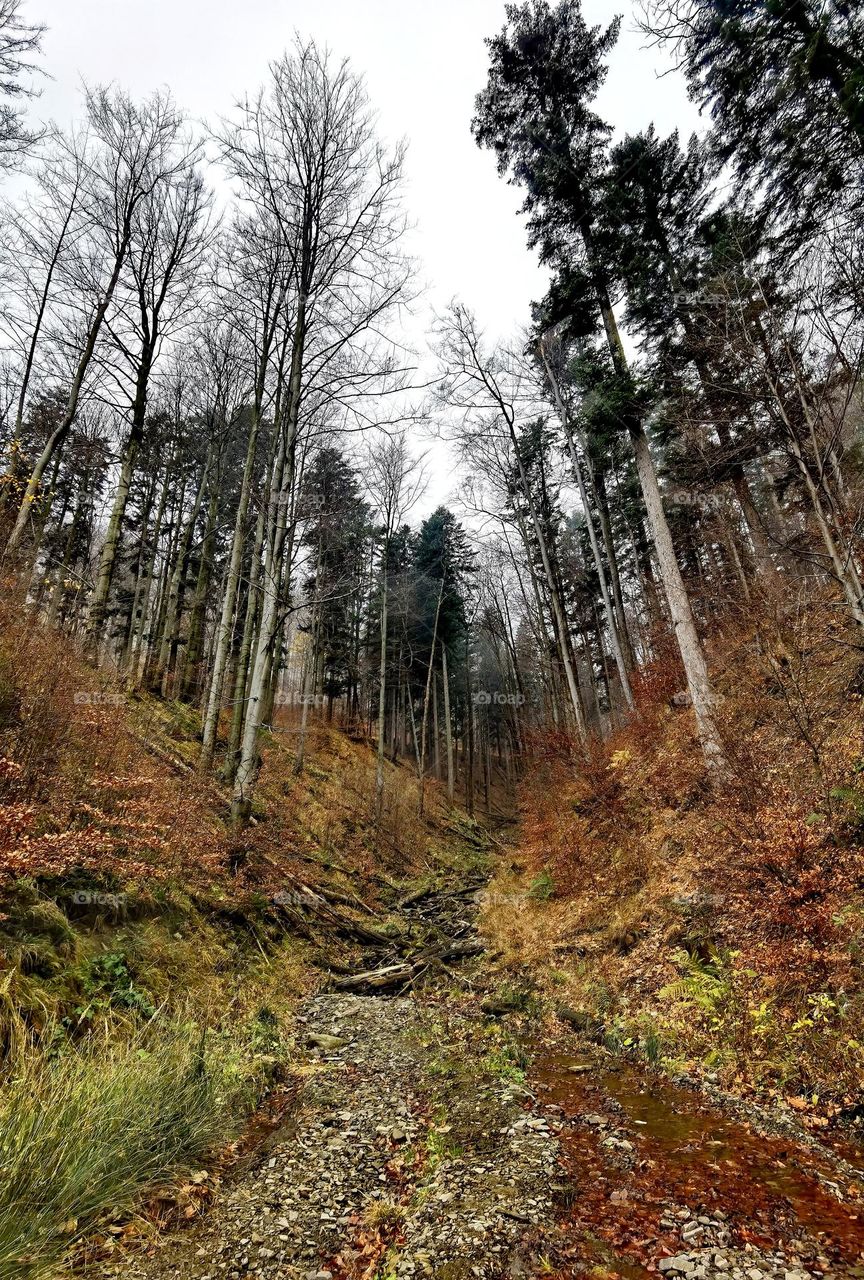 Autumn colors while hiking over the mountains in Bielsko Biała Poland 