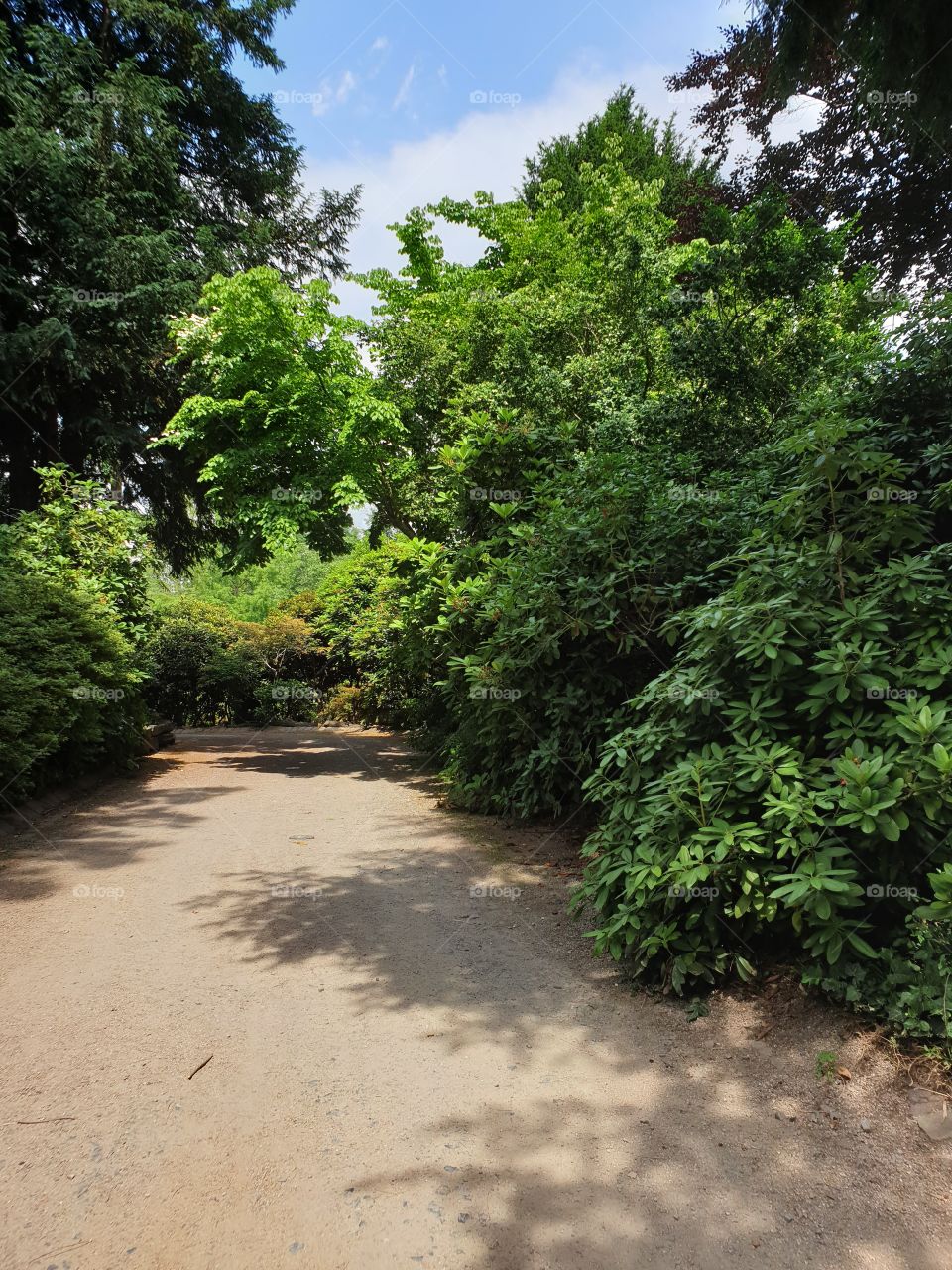 Palmengarten Frankfurt