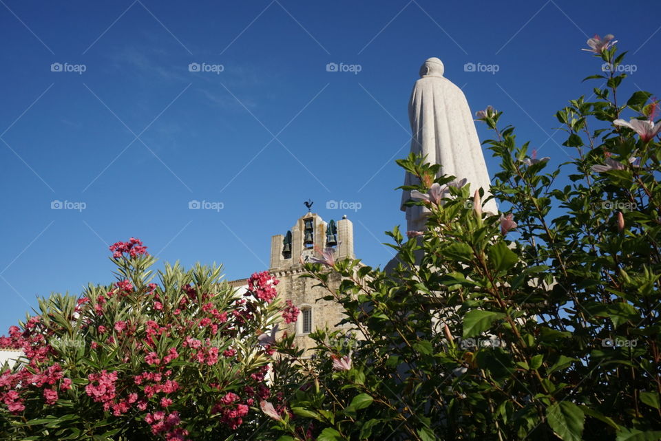 Flowery courtyard. Beautiful flowers adorn the courtyard of Faro's Cathedral. 