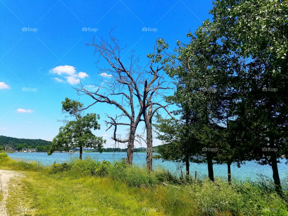 Road to Crystal Lake