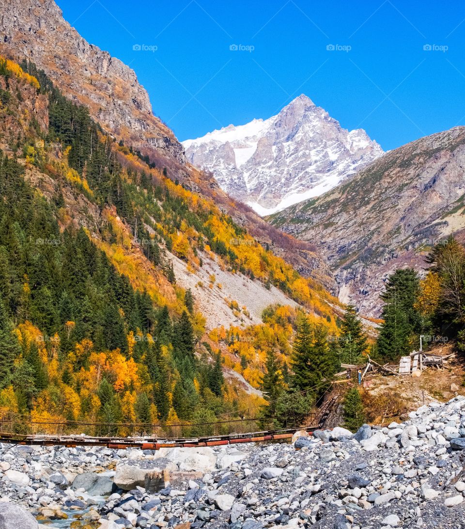 Beautiful autumn scene in Georgia 