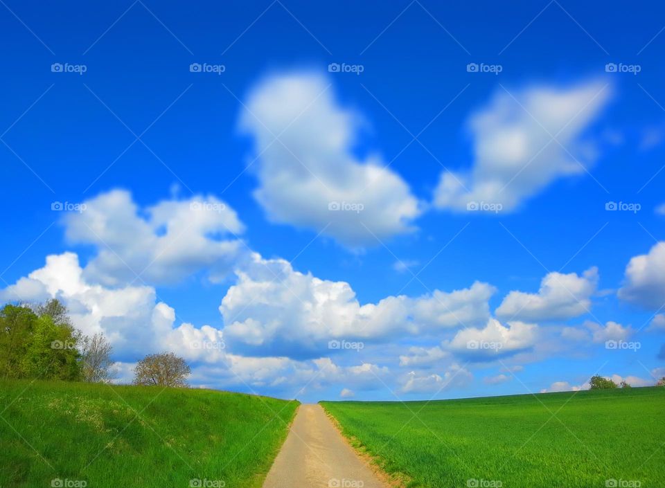 In spring, you'll find vibrant hues like pastel pink, soft green, sunny yellow, sky blue, and delicate lavender, reflecting the blooming flowers, fresh foliage, and clear skies of the season.