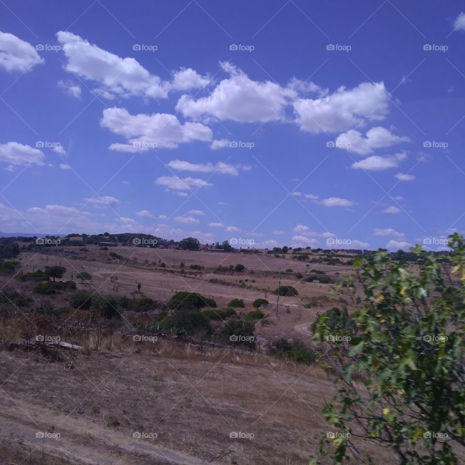 Arid Sardinia