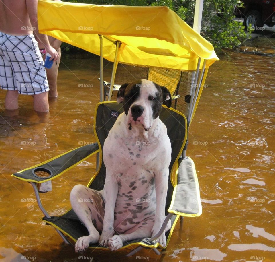 She thinks she's human