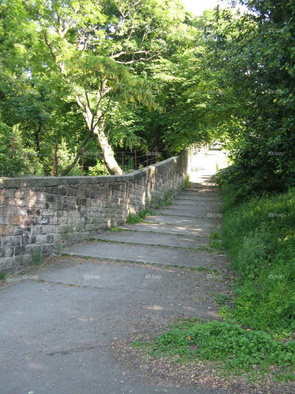 Доржка вниз