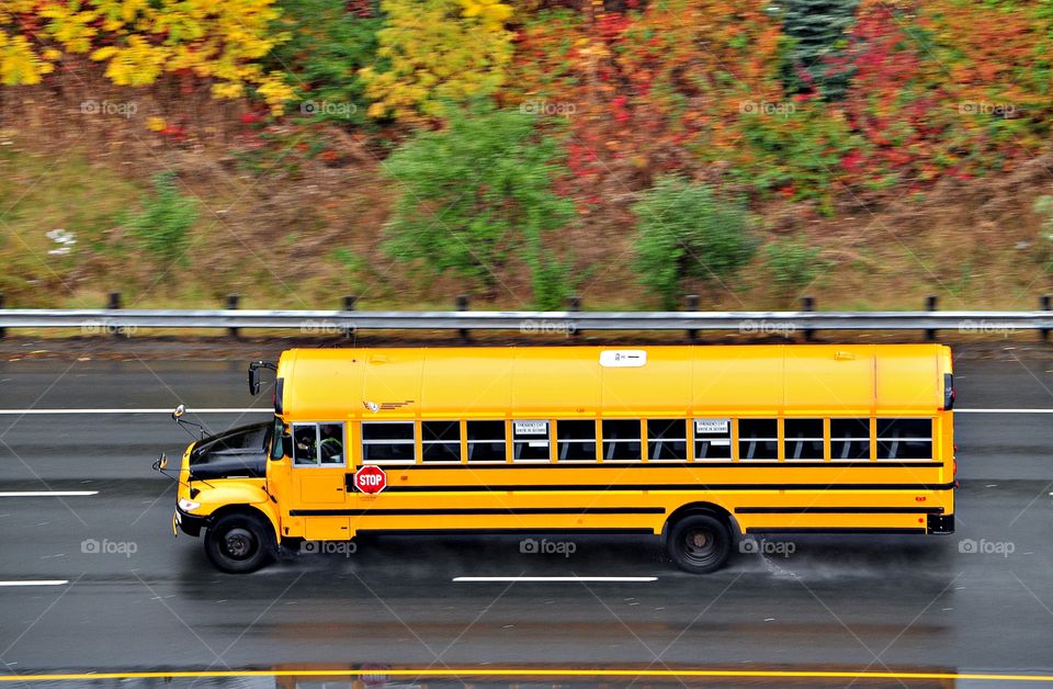 A school bus on the hi