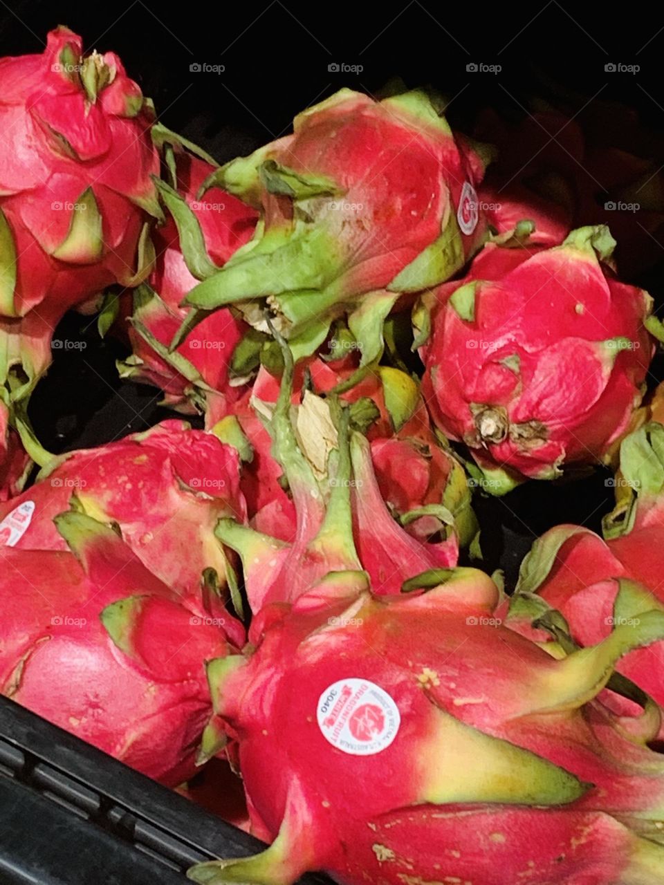 The tropical permaculture gardener will love growing dragon fruit,this cactus is easy to grow with little water or soil requirements.