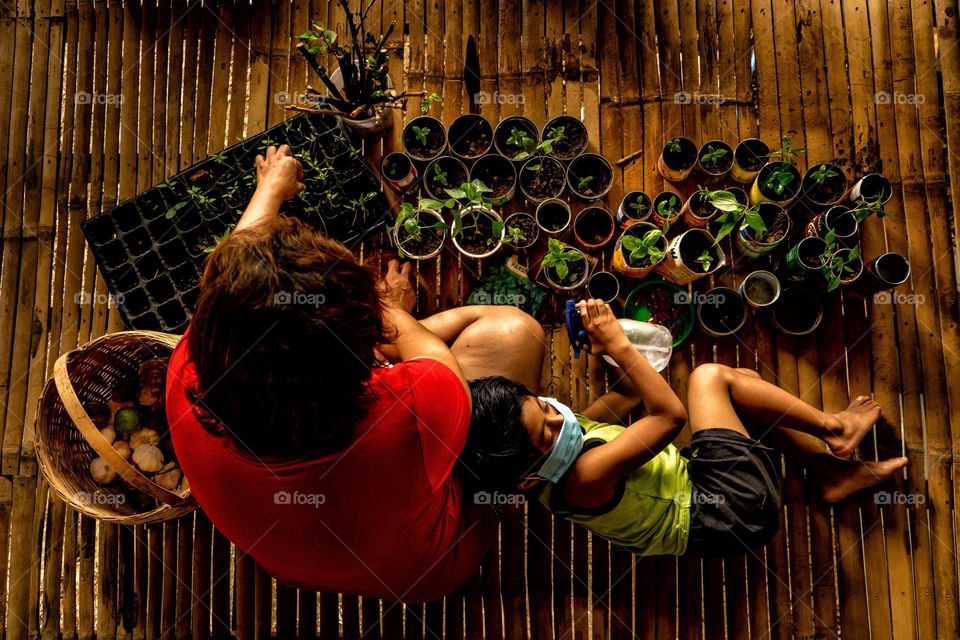 Urban farming