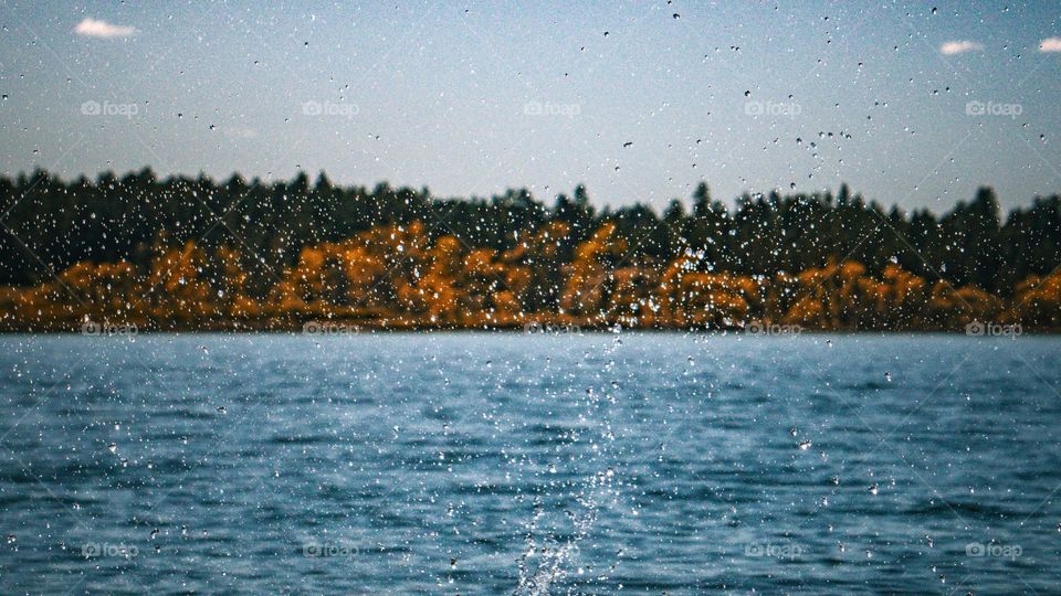 Splash in the castlerock lake.