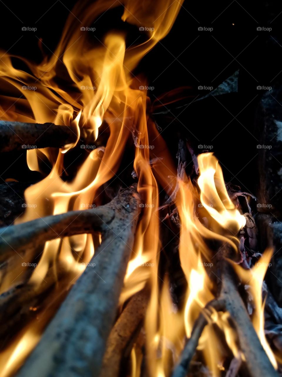 burning woods with yellow fire.