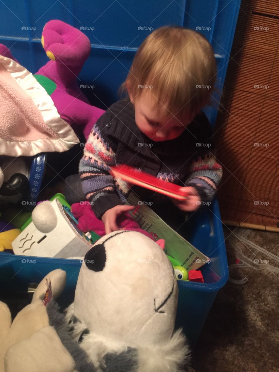 Peytynn climbed inside her toy box 