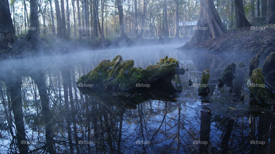 View of the mystic fog over the water in the forest. Ginnie Springs, Florida