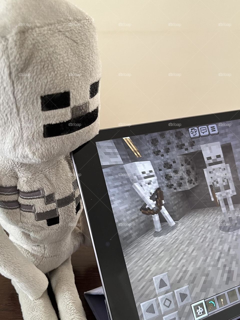 Skeletons of Minecraft 