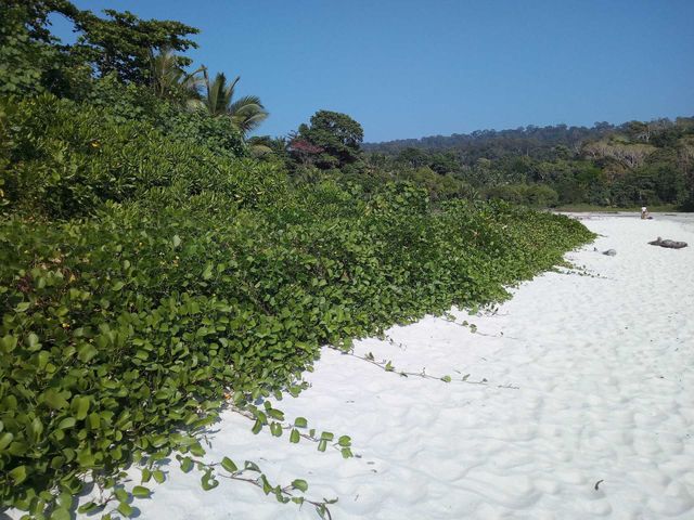 riverside grass