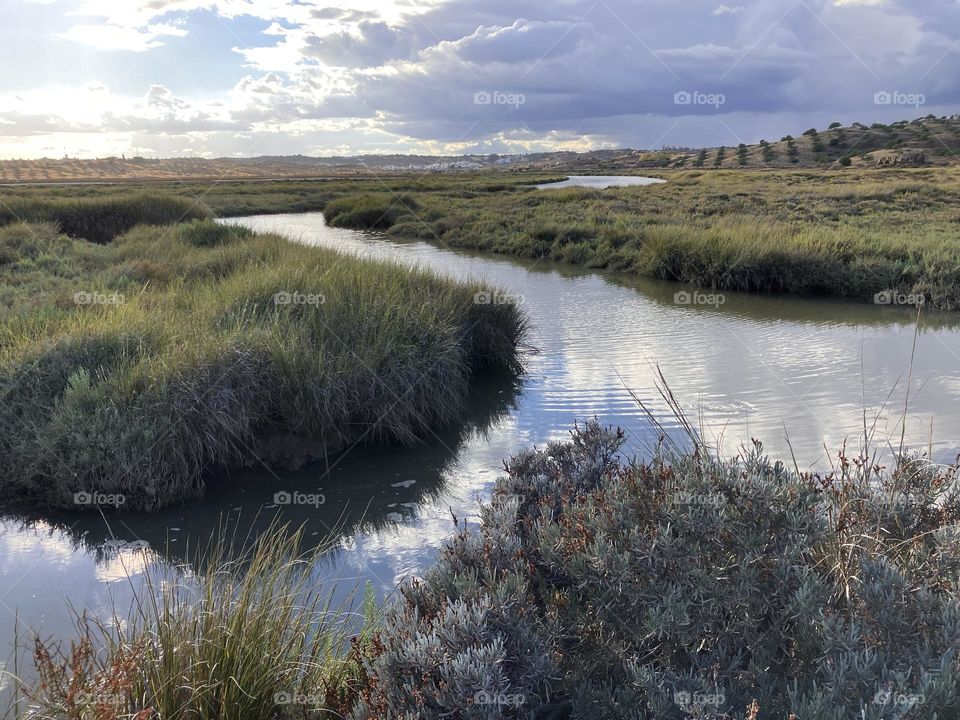 Preference for countryside 