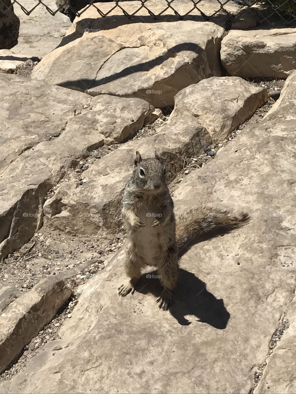 Are you nuts? I meant, do you have nuts? 