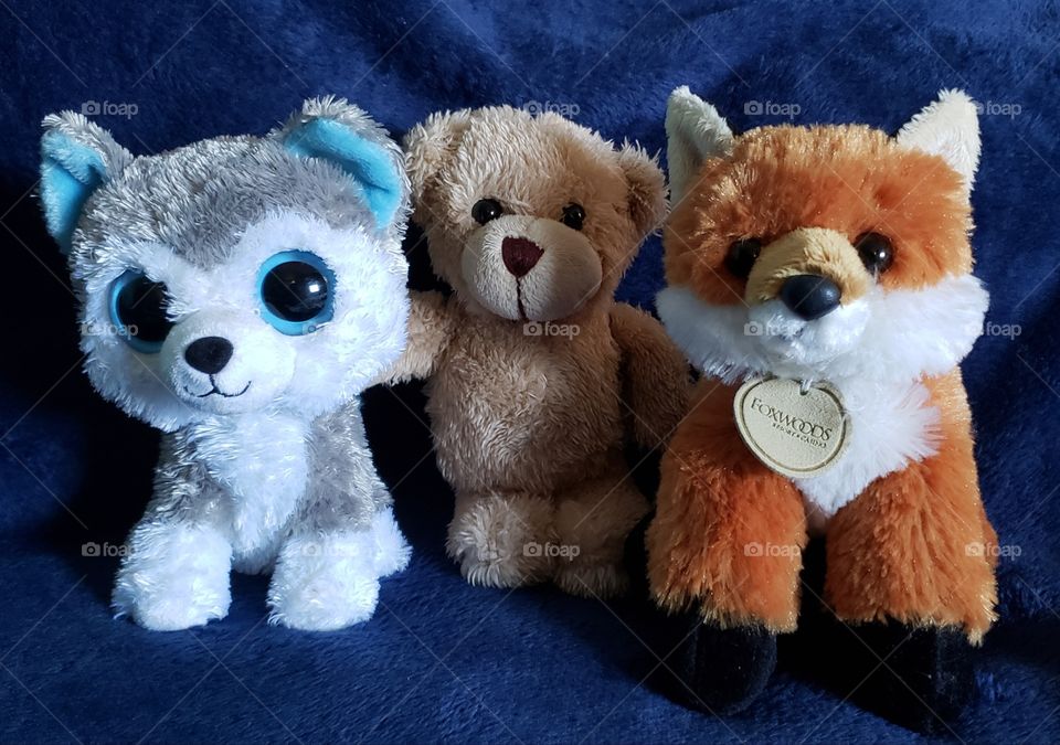 3 Stuffed Amigos!! 😁