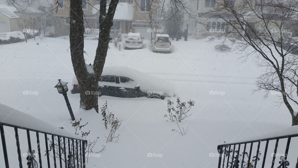Snow storm in NY