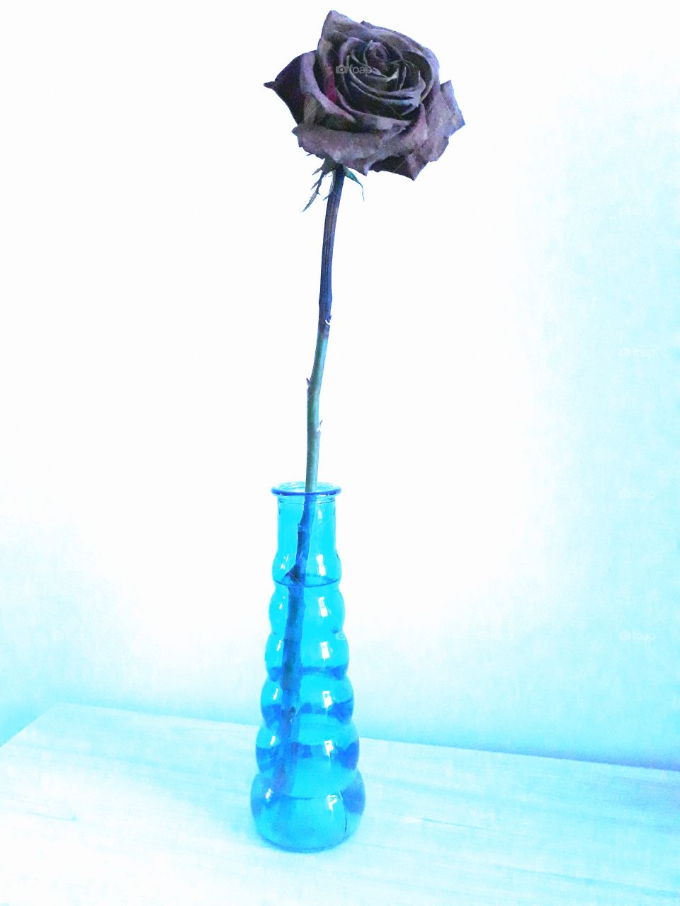 Jarrón con una rosa