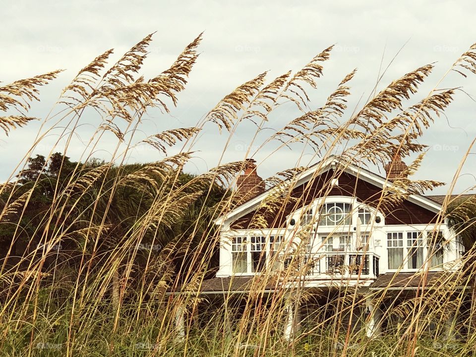Beach house as viewed though the sea oats. 