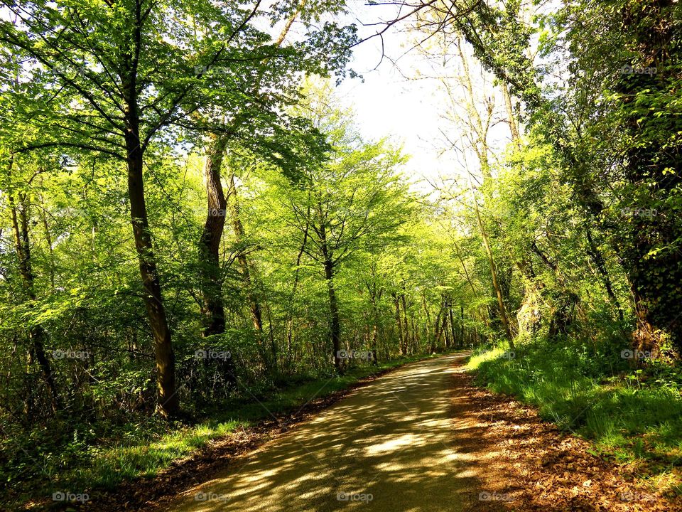 Near Conchil le Temple, Northern France