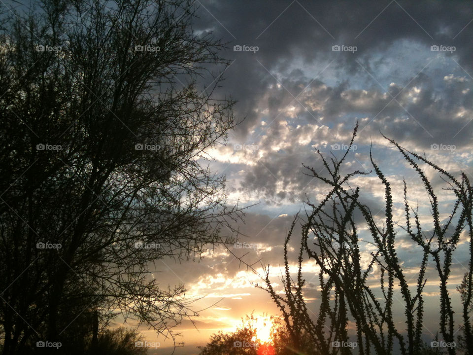 sunset clouds trees arizona by melody