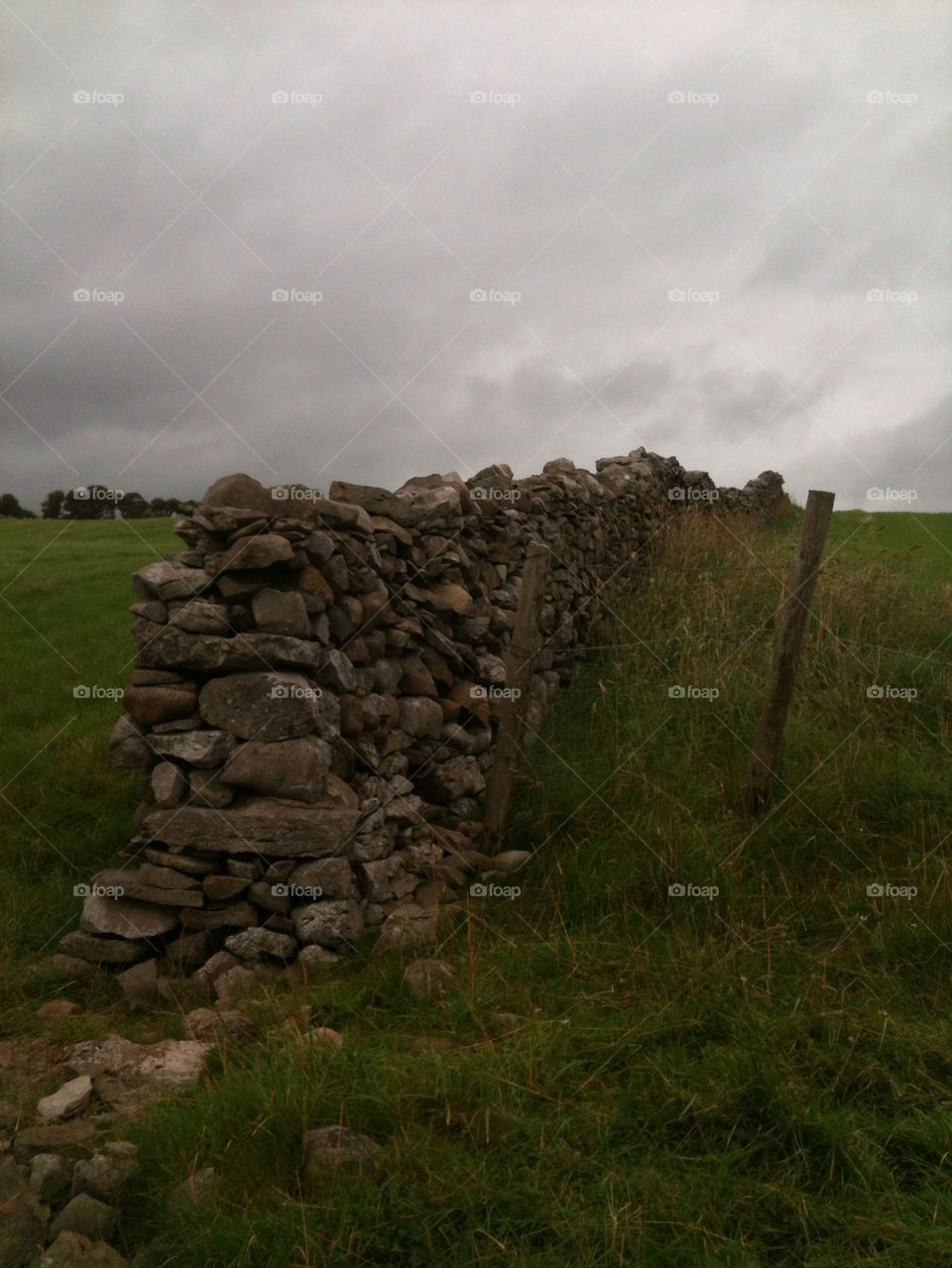 wall grass stones stone by gregmanchester