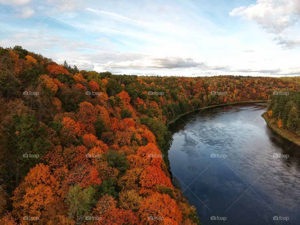 The colorful forest next to the river.